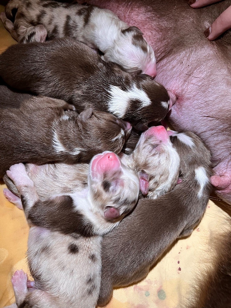 BÉBÉS NÉS LE 26 OCTOBRE 